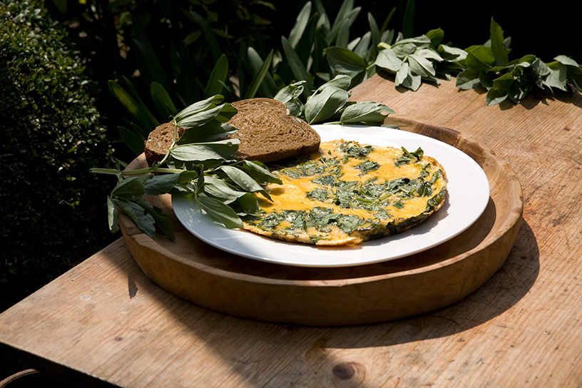 Een omelet met toppen van tuinbonen op een bord in de zon